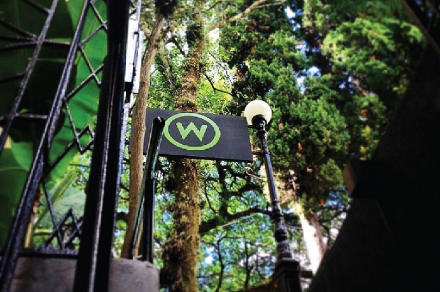 W Station